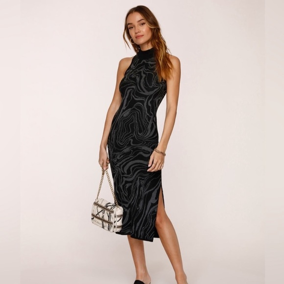 Heartloom Dresses & Skirts - NWOT PALOMA DRESS